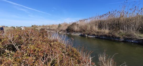 Trekking nel Parco naturale Litorale di Ugento