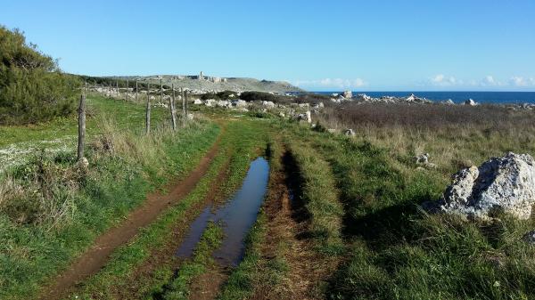 trekking Da Porto Badisco a Torre Sant'Emiliano