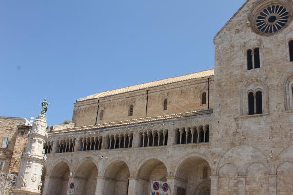 Visite guidate per gruppi e scuole a Bitonto, la cattedrale e la colonna dedicata all'immacolata