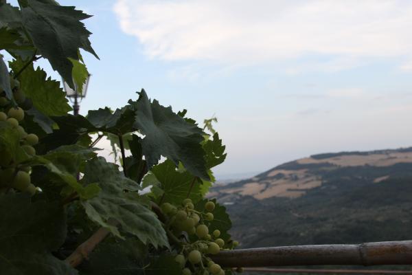 Visite guidate per gruppi e scuole a Bovino