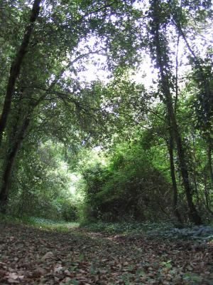 Cammino per l'Oriente: dalla Grecìa salentina ad Otranto