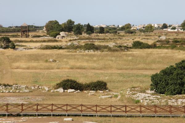 Visita guidata a Cavallino parco e museo archeologico