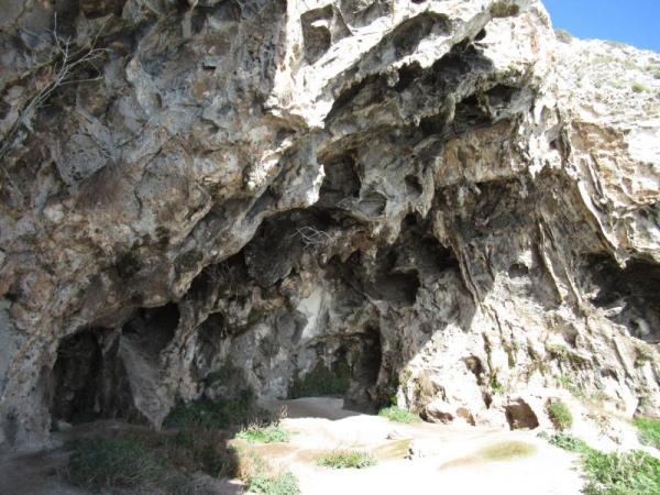 Passeggiata naturalistica al sentiero delle Cipolliane