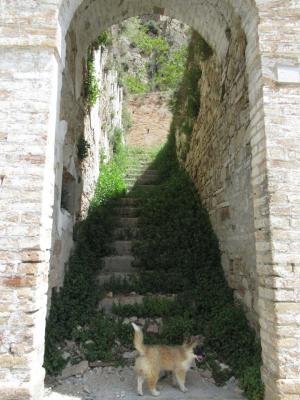 Visita guidata a Craco la città fantasma