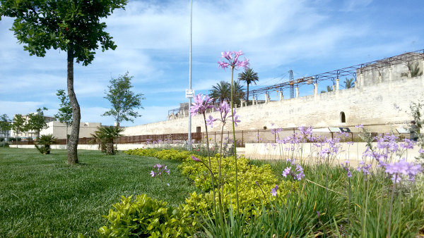 Visita guidata a Lecce: Mura Urbiche