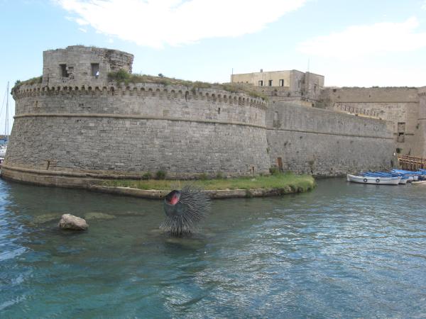 Visita guidata a Gallipoli