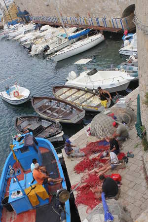 Visita guidata a Gallipoli