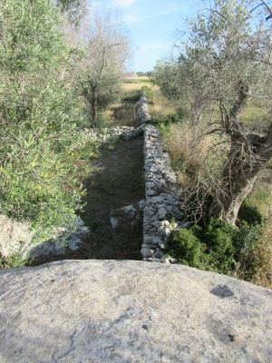 Visite guidate ai Sassi della Vecchia di Giuggianello adatti a tutti