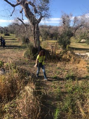 Visite guidate ai Sassi della Vecchia di Giuggianello adatti a tutti