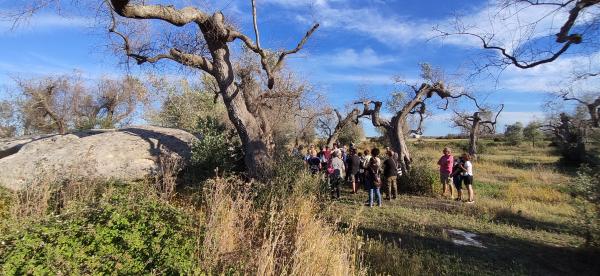 Visite guidate ai Sassi della Vecchia di Giuggianello adatti a tutti