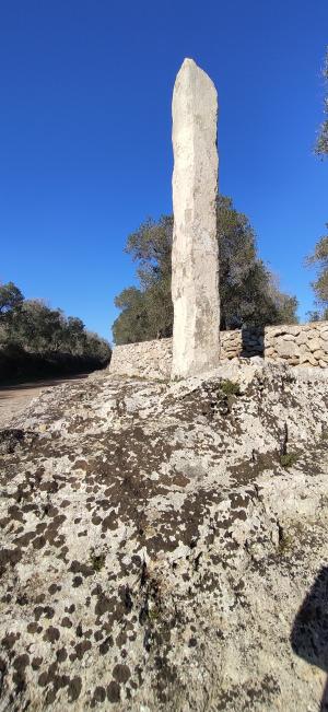 Visite guidate al giardino dei megaliti a Giurdignano per gruppi e scuole