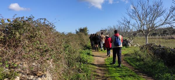 Visite guidate al giardino dei megaliti a Giurdignano