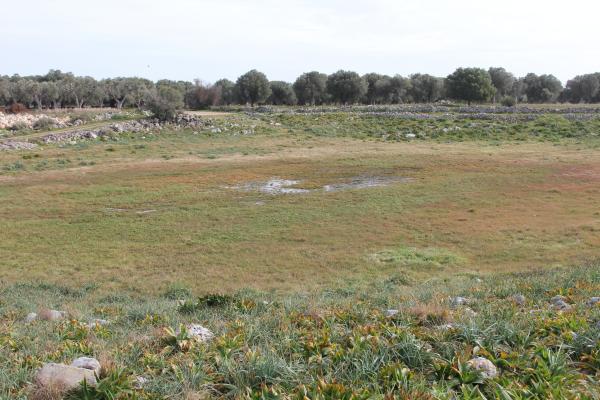 Trekking nel Parco del Mago: da Soleto a Sternatia