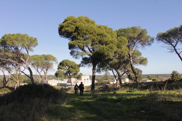 Visita guidata a Maruggio