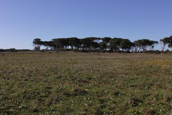 Visita guidata a Maruggio