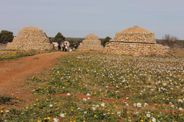 Visita guidata a Maruggio