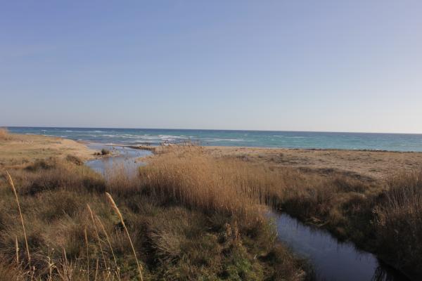 Visita guidata a Maruggio