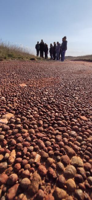 Trekking ad Otranto: dalla Torre del Serpe al lago di bauxite