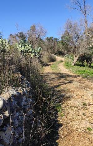 Campagna salentina