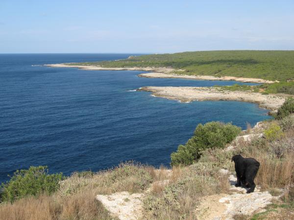 passeggiata naturalistica a a Porto Selvaggio