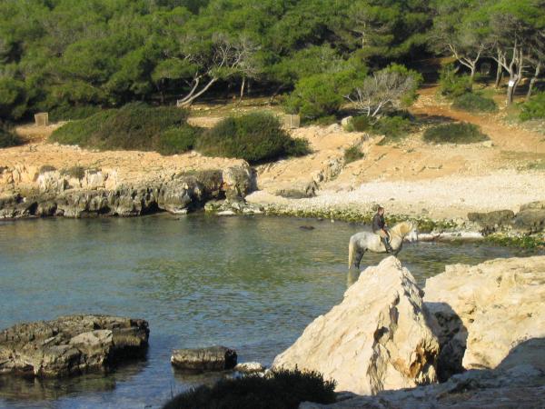 trekking a Porto Selvaggio, la baia