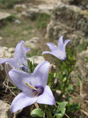 trekking a Porto Selvaggio