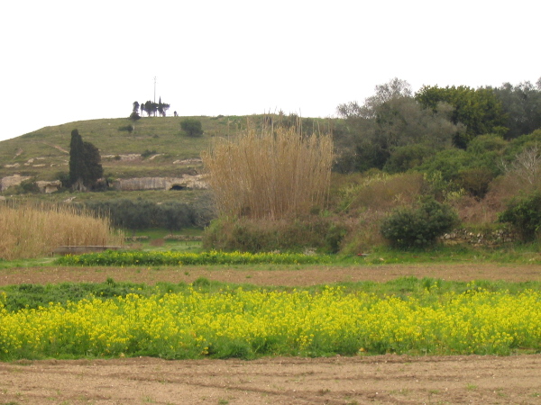 Visite guidata - Otranto da scoprire: la valle dell'Idro