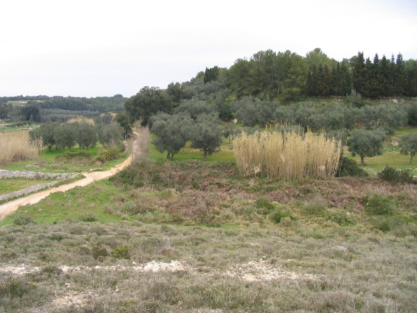 Visite guidata - Otranto da scoprire: la valle dell'Idro