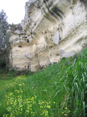 Visite guidata - Otranto da scoprire: la valle dell'Idro