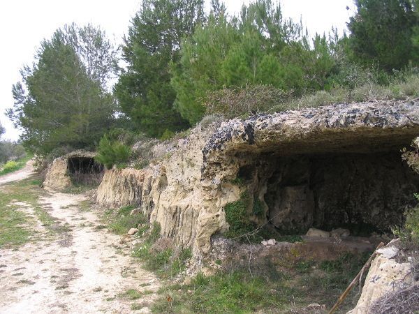 Visite guidata - Otranto da scoprire: la valle dell'Idro