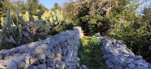 Trekking Vie del sale - Corsano