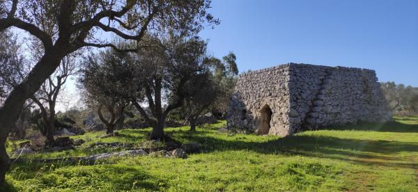 Trekking Vie del sale - Corsano