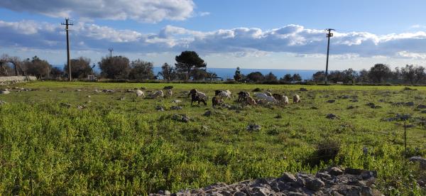 Trekking Vie del sale - Corsano