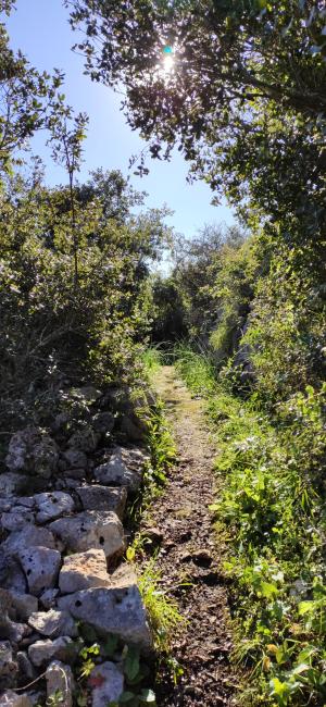 Trekking Vie del sale - Corsano