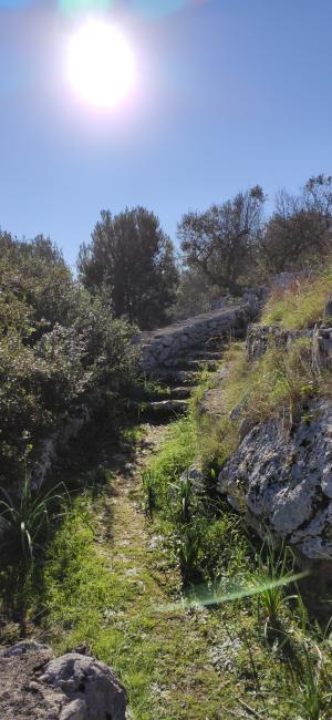 Trekking Vie del sale - Corsano