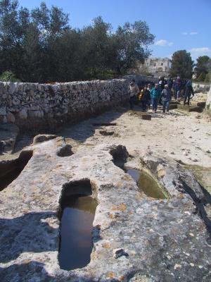 Cammino per l'Oriente: dalla Grecìa salentina ad Otranto Cammino per l'Oriente: dalla Grecìa salentina ad Otranto