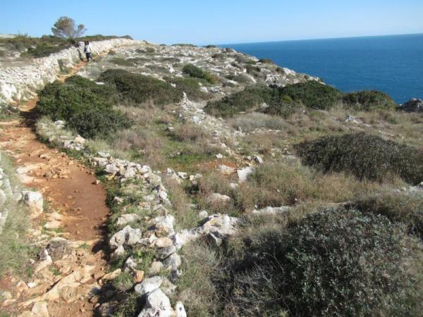 Passeggiata naturalistica al sentiero delle Cipolliane