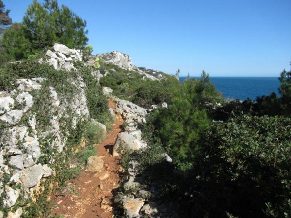 Passeggiata naturalistica al sentiero delle Cipolliane