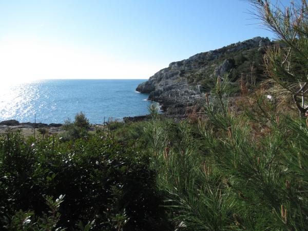 Passeggiata naturalistica al sentiero delle Cipolliane