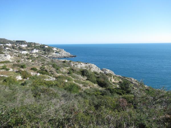 Passeggiata naturalistica al sentiero delle Cipolliane