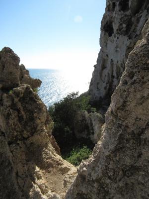 Passeggiata naturalistica al sentiero delle Cipolliane