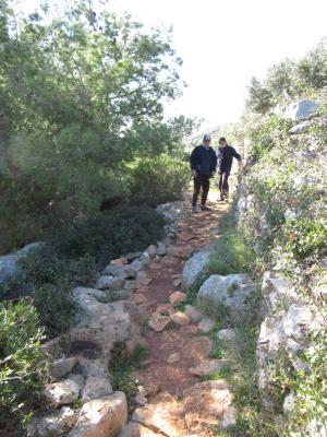 Passeggiata naturalistica al sentiero delle Cipolliane