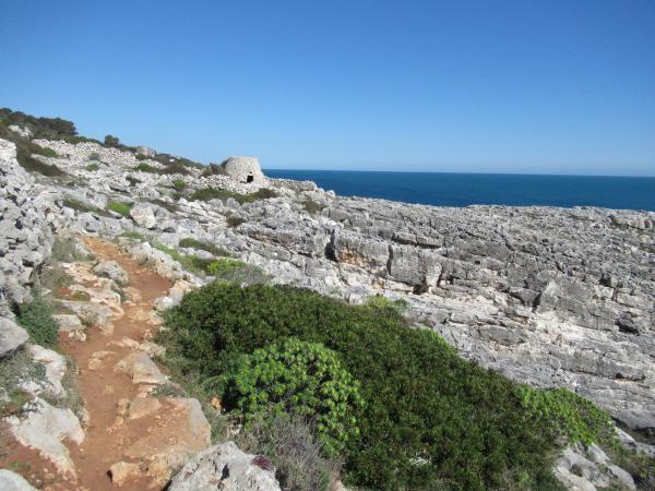 Passeggiata naturalistica al sentiero delle Cipolliane