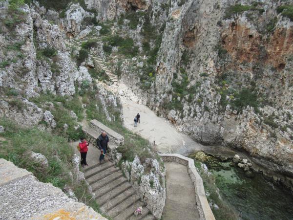 Passeggiata naturalistica al sentiero delle Cipolliane