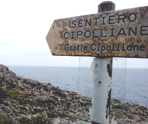 Passeggiata naturalistica al sentiero delle Cipolliane