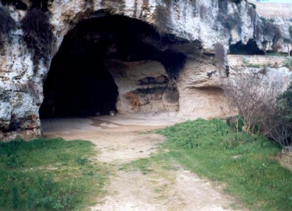  Visita guidata alle grotte di famosa