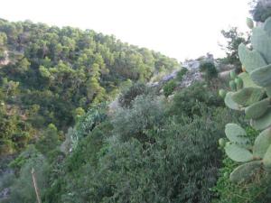  Visita guidata alle grotte di famosa