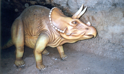  Visita guidata alle grotte di famosa