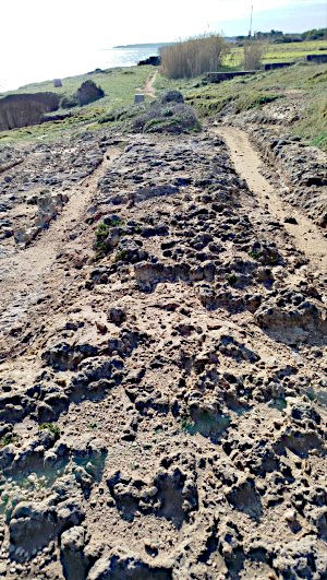 Passeggiata naturalistica da Torre Sant'Andrea a Torre dell'Orso