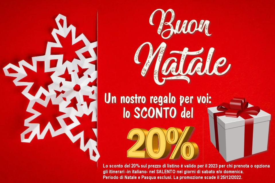 Il nostro regalo di Natale,visite guidate scontate per voi